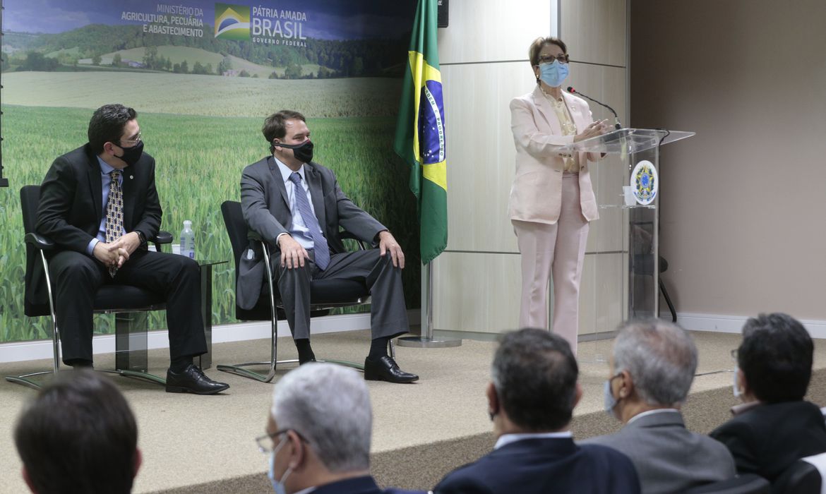 Programa Titula Brasil